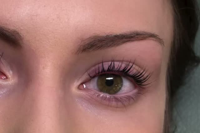 The same lashes after a Korean lash lift and tint at Sugar Pie Lashes